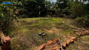Project Image of Housing Plot/Residential Land for Resale in Colva, Goa - Image 150936