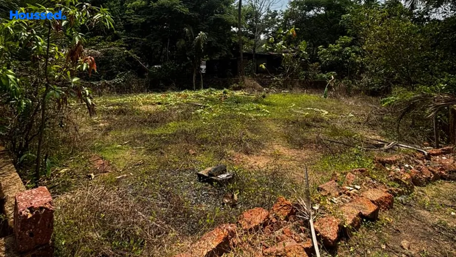 Project Image of Housing Plot/Residential Land for Resale in Colva - Image 150936