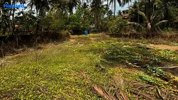 Project Image of Housing Plot/Residential Land for Resale in Colva, Goa - Image 150935