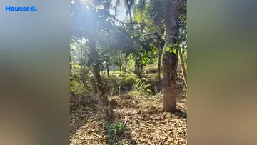Project Image of Housing Plot/Residential Land for Resale in Canacona, Goa - Image 152189