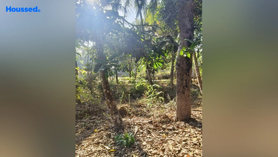Project Image of Housing Plot/Residential Land for Resale in Canacona - Image 152189