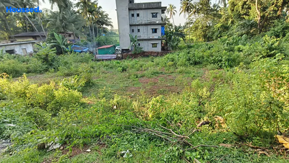 Project Image of Housing Plot/Residential Land for Resale in Mardol - Image 152338
