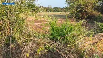 Project Image of Housing Plot/Residential Land for Resale in Merces, Goa - Image 155633