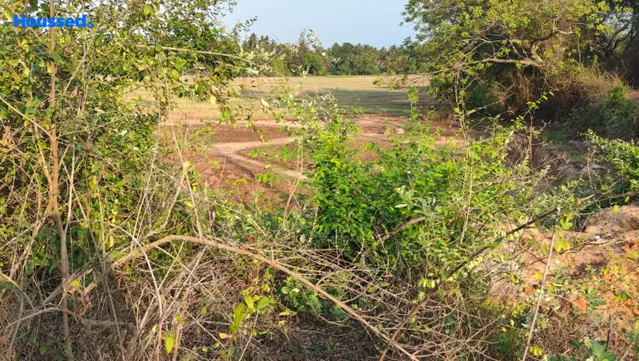 Project Image of Housing Plot/Residential Land for Resale in Merces - Image 155633