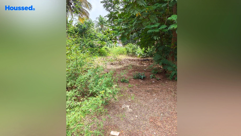 Project Image of Housing Plot/Residential Land for Resale in Calangute - Image 155634