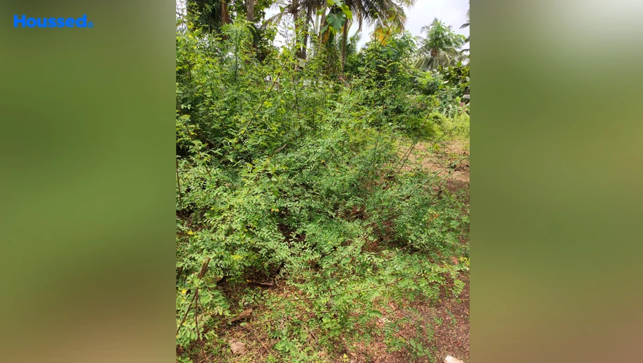 Project Image of Housing Plot/Residential Land for Resale in Calangute - Image 155635