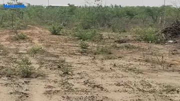 Project Image of Housing Plot/Residential Land for Resale in Mettupalayam Road, Coimbatore - Image 155844