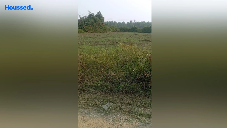 Project Image of Industrial Land for Resale in Zirakpur - Image 155987