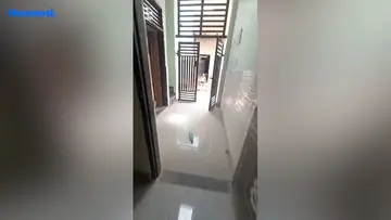 Project Image of 3 BHK House/Villa for Resale in Sector 23, Faridabad - Image 156008