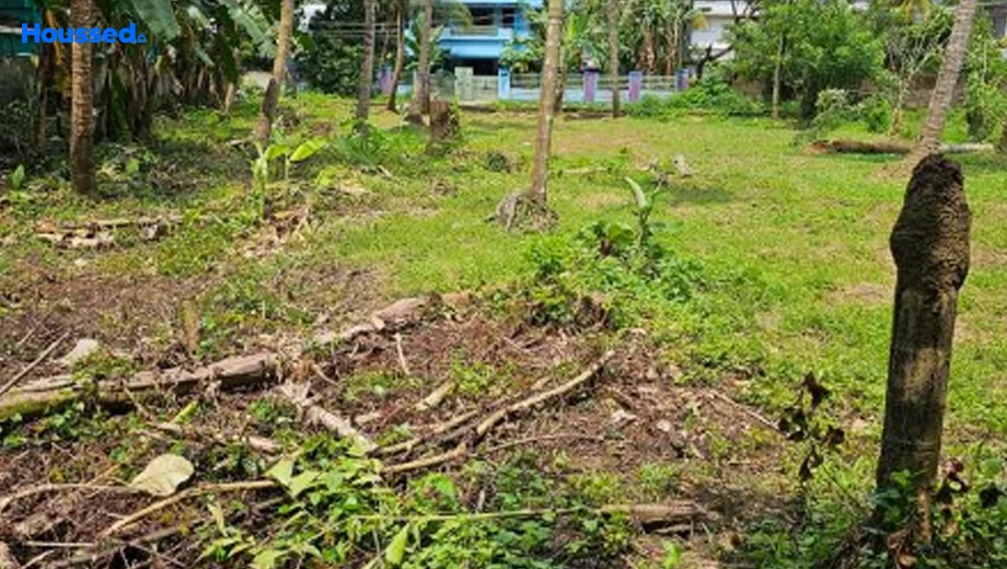Project Image of Housing Plot/Residential Land for Resale in Aluva - Image 156974
