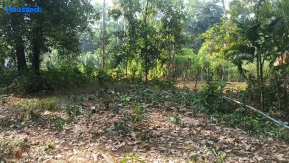 Project Image of Housing Plot/Residential Land for Resale in Thrikkakara, Kochi - Image 157173