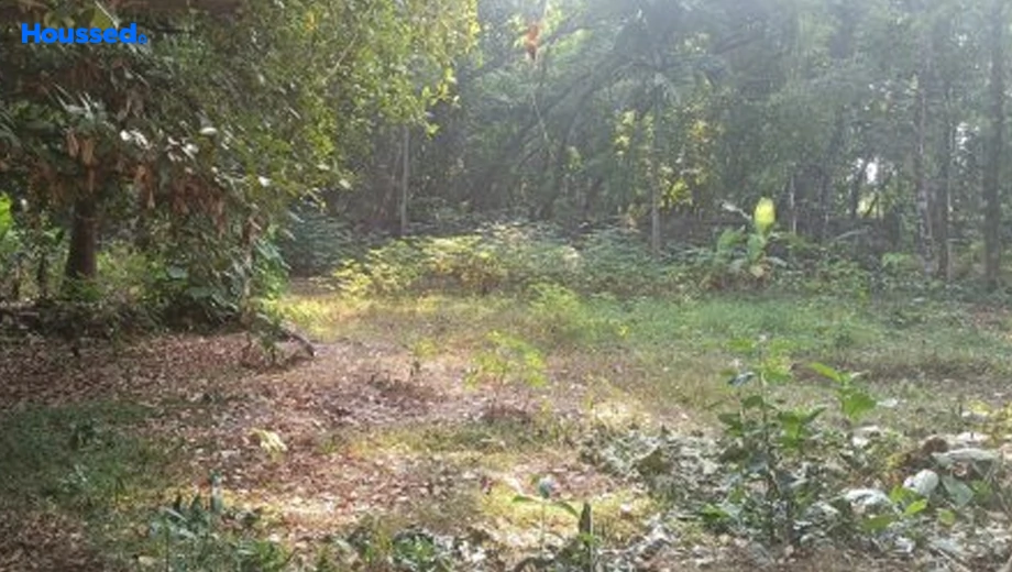 Project Image of Housing Plot/Residential Land for Resale in Thrikkakara, Kochi - Image 157174