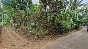 Project Image of Housing Plot/Residential Land for Resale in Angamaly, Kochi - Image 157205