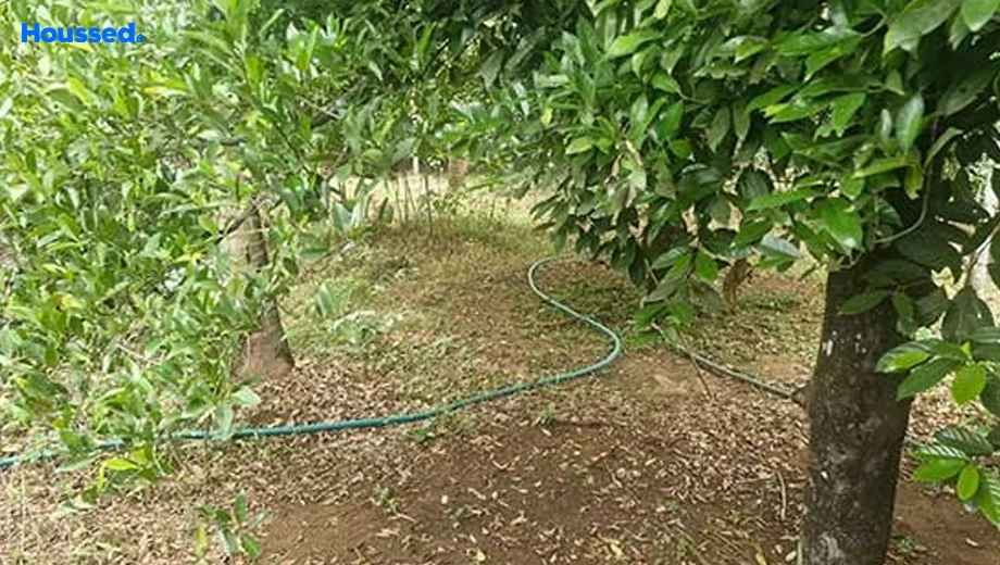 Project Image of Housing Plot/Residential Land for Resale in Angamaly, Kochi - Image 157249
