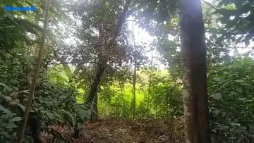 Project Image of Housing Plot/Residential Land for Resale in Angamaly, Kochi - Image 157263