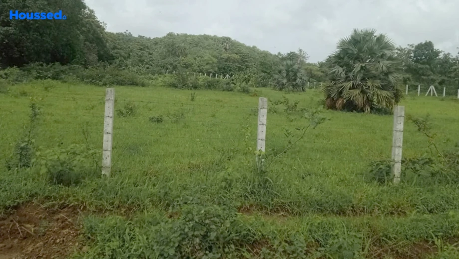 Project Image of Housing Plot/Residential Land for Resale in Saphale West - Image 157272