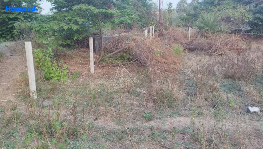 Project Image of Housing Plot/Residential Land for Resale in Palghar West - Image 157376
