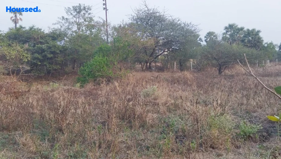 Project Image of Housing Plot/Residential Land for Resale in Palghar West - Image 157380