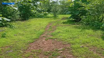 Project Image of Housing Plot/Residential Land for Resale in Palghar West, Palghar - Image 157384
