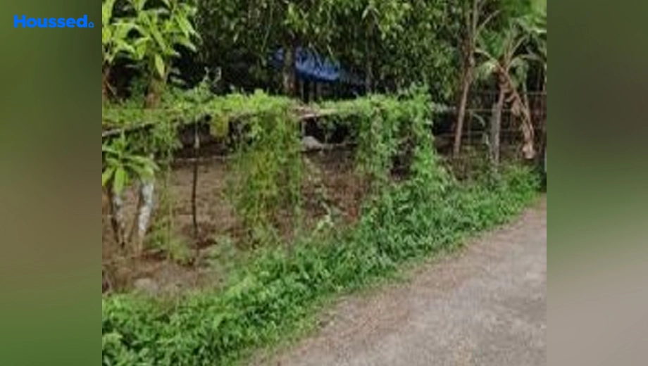Project Image of Housing Plot/Residential Land for Resale in Angamaly, Kochi - Image 157388