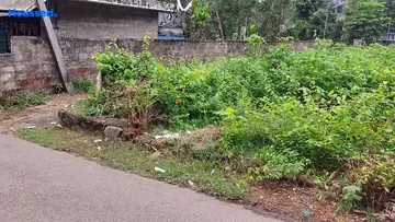 Project Image of Housing Plot/Residential Land for Resale in Aluva, Kochi - Image 157503