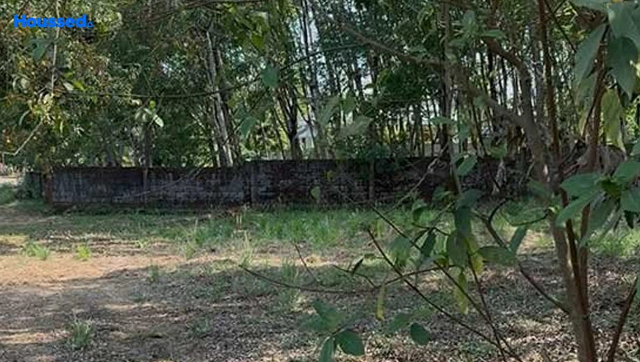 Project Image of Housing Plot/Residential Land for Resale in Nedumbassery - Image 157505