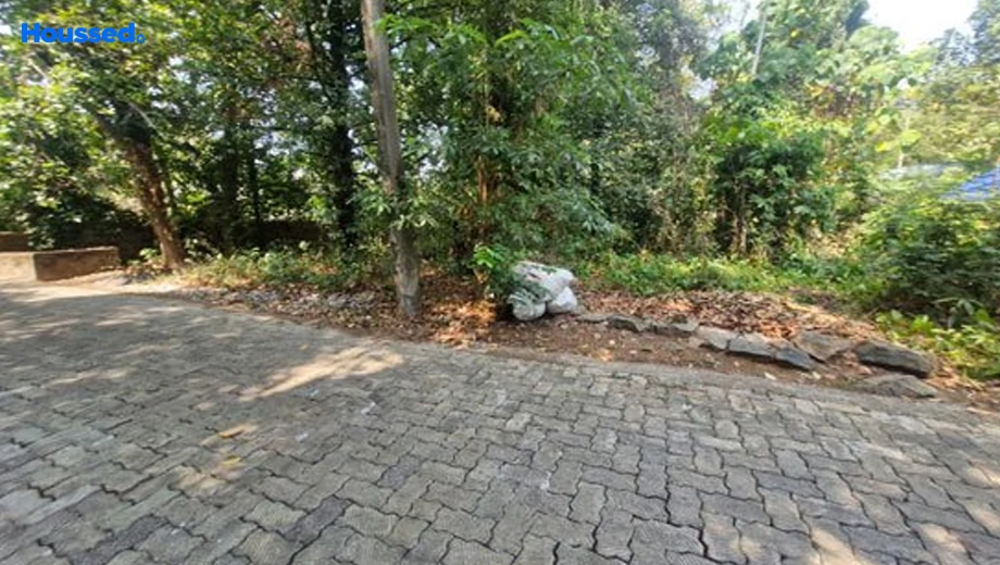 Project Image of Housing Plot/Residential Land for Resale in Angamaly - Image 157575