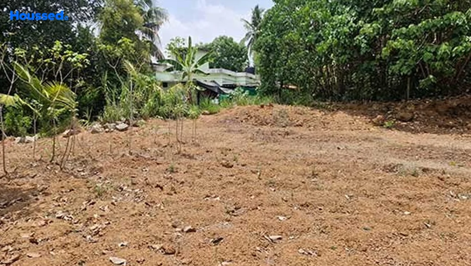 Project Image of Housing Plot/Residential Land for Resale in Angamaly - Image 157622