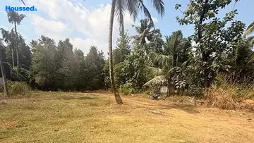 Project Image of Housing Plot/Residential Land for Resale in Nedumbassery, Kochi - Image 157825