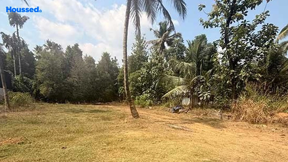 Project Image of Housing Plot/Residential Land for Resale in Nedumbassery - Image 157825
