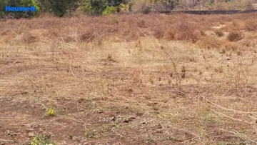 Project Image of Industrial Land for Resale in Palghar, Palghar - Image 157968