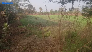 Project Image of Industrial Land for Resale in Wada, Palghar - Image 157973