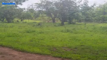 Project Image of Industrial Land for Resale in Wada, Palghar - Image 158082