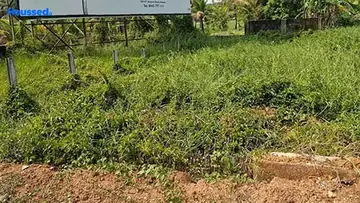 Project Image of Housing Plot/Residential Land for Resale in Nedumbassery, Kochi - Image 158117