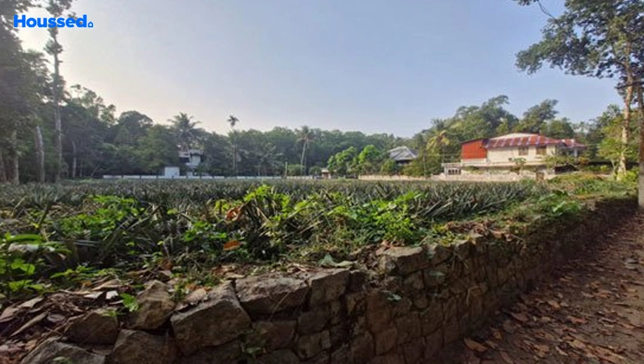 Project Image of Housing Plot/Residential Land for Resale in Muvattupuzha - Image 158354