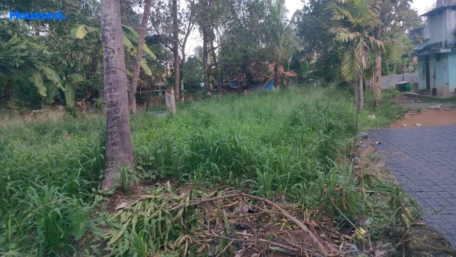 Project Image of Housing Plot/Residential Land for Resale in Eloor - Image 158901