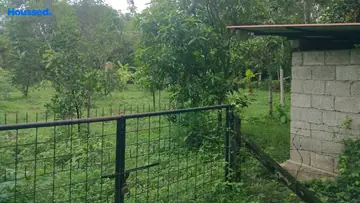 Project Image of Housing Plot/Residential Land for Resale in Nedumbassery, Kochi - Image 158909