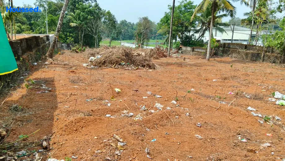 Project Image of Housing Plot/Residential Land for Resale in Nedumbassery - Image 158965