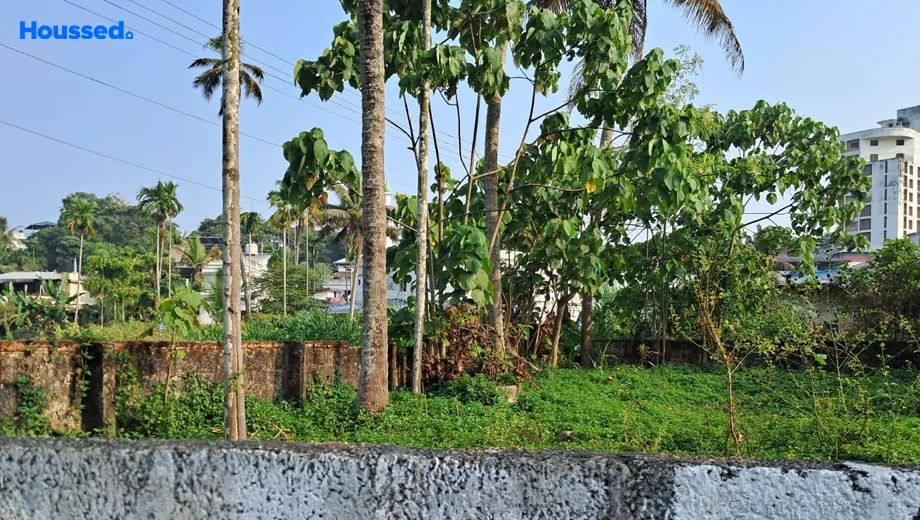 Project Image of Housing Plot/Residential Land for Resale in Kangarapady - Image 159639