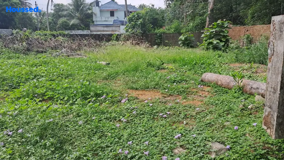 Project Image of Housing Plot/Residential Land for Resale in Aluva - Image 159863