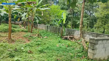 Project Image of Housing Plot/Residential Land for Resale in Edappally, Kochi - Image 159966