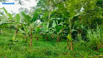 Project Image of Housing Plot/Residential Land for Resale in Thiruvankulam, Kochi - Image 160011