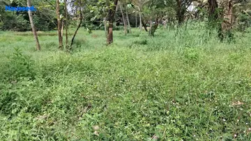 Project Image of Housing Plot/Residential Land for Resale in Thrippunithura, Kochi - Image 160020