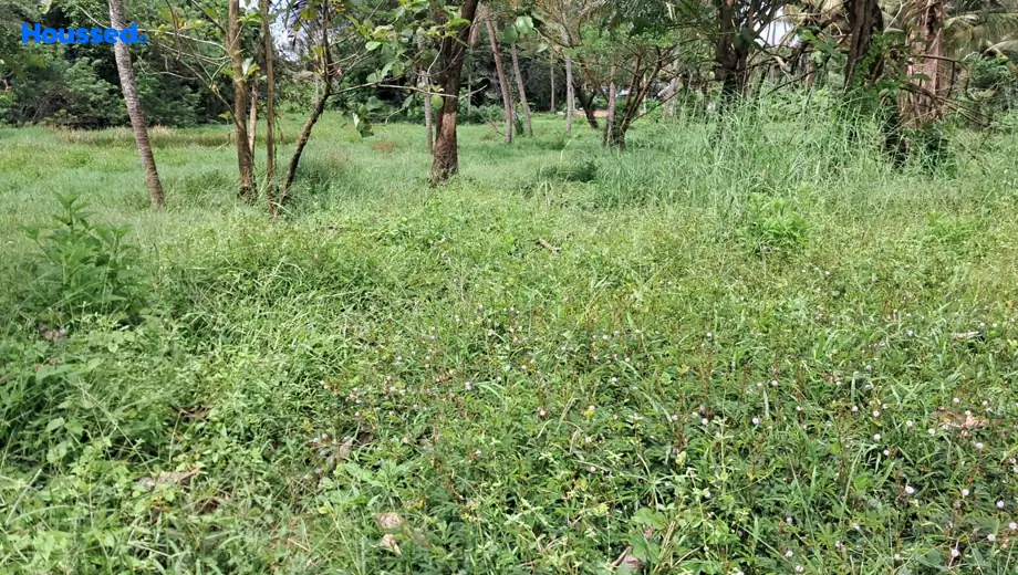Project Image of Housing Plot/Residential Land for Resale in Thrippunithura - Image 160020