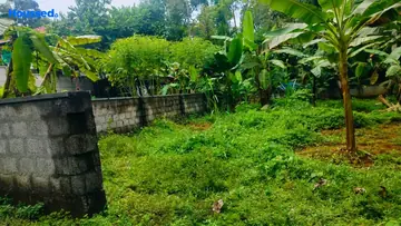 Project Image of Housing Plot/Residential Land for Resale in Angamaly, Kochi - Image 160199