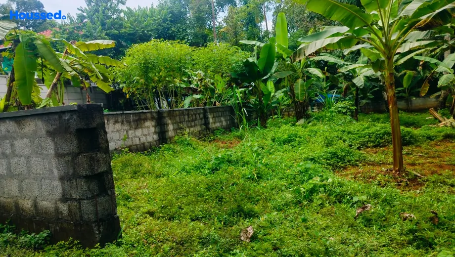 Project Image of Housing Plot/Residential Land for Resale in Angamaly - Image 160199