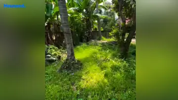 Project Image of Housing Plot/Residential Land for Resale in Ernakulam, Kochi - Image 160206