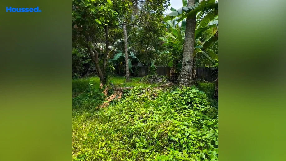 Project Image of Housing Plot/Residential Land for Resale in Ernakulam - Image 160207