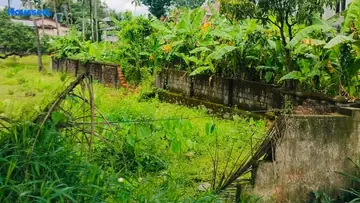 Project Image of Housing Plot/Residential Land for Resale in Nedumbassery, Kochi - Image 160210
