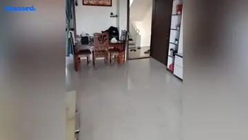 Project Image of 2 BHK Flat for Rent in Pathardi Phata, Nashik - Image 160467